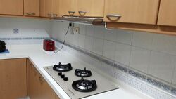 The Sunny Spring (D14), Apartment #463132081